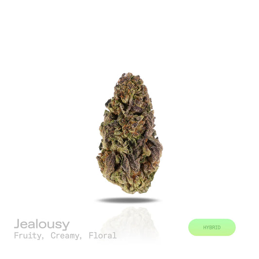 THC-A Flower - Jealousy (Indoor) (Hybrid)