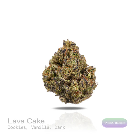 THC-A Flower - Lava Cake - (Indoor) (Indica Hybrid)