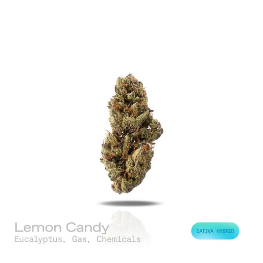 THC-A Flower - Lemon Candy - (Indoor) (Sativa Hybrid)