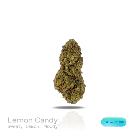 THC-A Flower - Lemon Candy - (Indoor) (Sativa Hybrid)