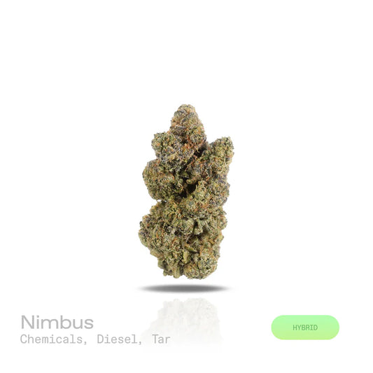 Nimbus- (Exotic) (Hybrid)