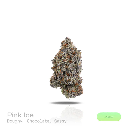Pink Ice- (Exotic) (Hybrid)