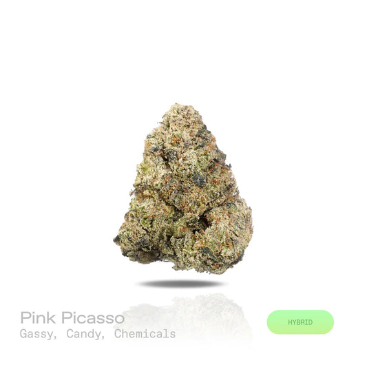 Pink Picasso - (Exotic) (Hybrid)