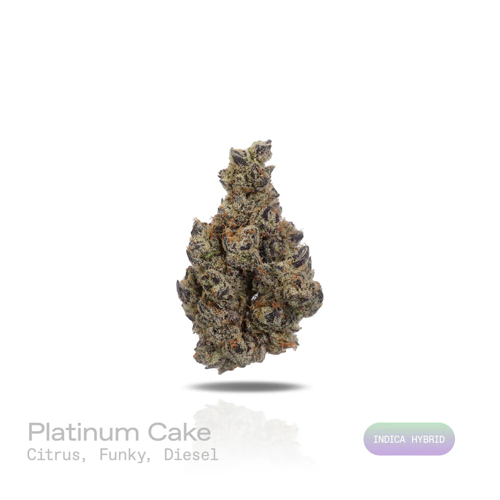 Platinum Cake - (Exotic) (Sativa Hybrid)