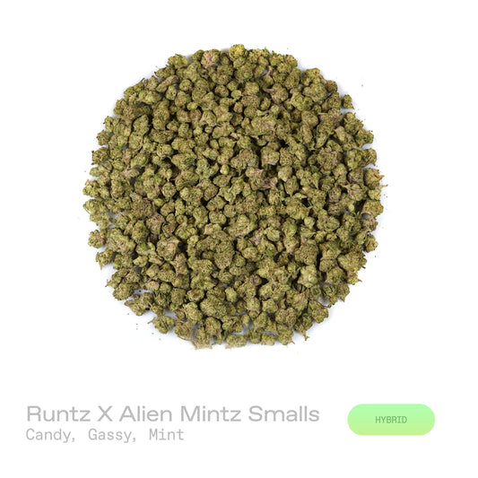 Runtz X Alien Mintz  - (Indoor) (Hybrid)
