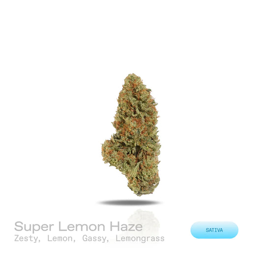 THC-A Flower - Super Lemon Haze (Exotic) (Sativa)