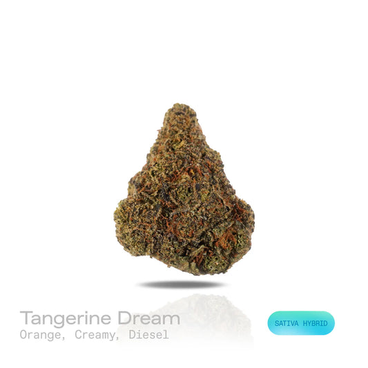 Tangerine Dream - (Indoor) (Hybrid)