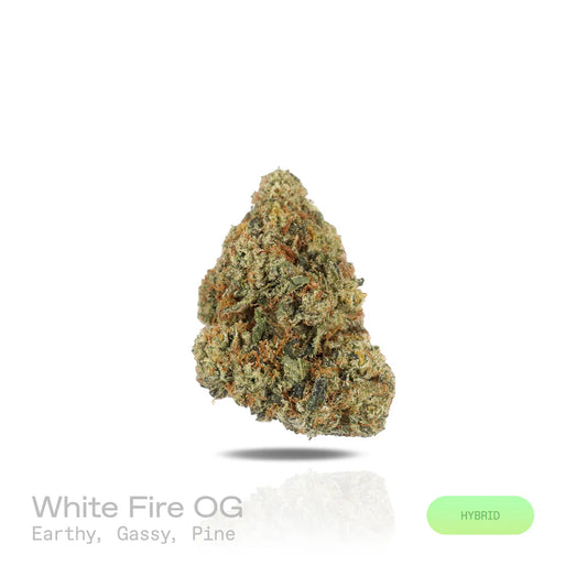 THC-A Flower - White Fire OG - (Indoor) (Hybrid)
