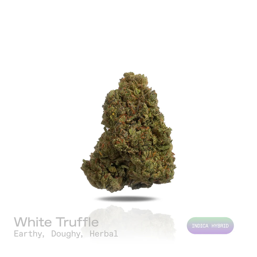 THC-A Flower - White Truffle - (Indoor) (Indica Hybrid)