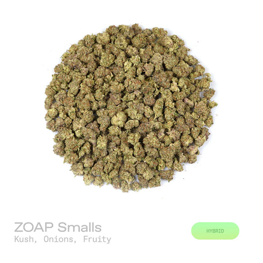 Zoap - (Indoor) (Hybrid)