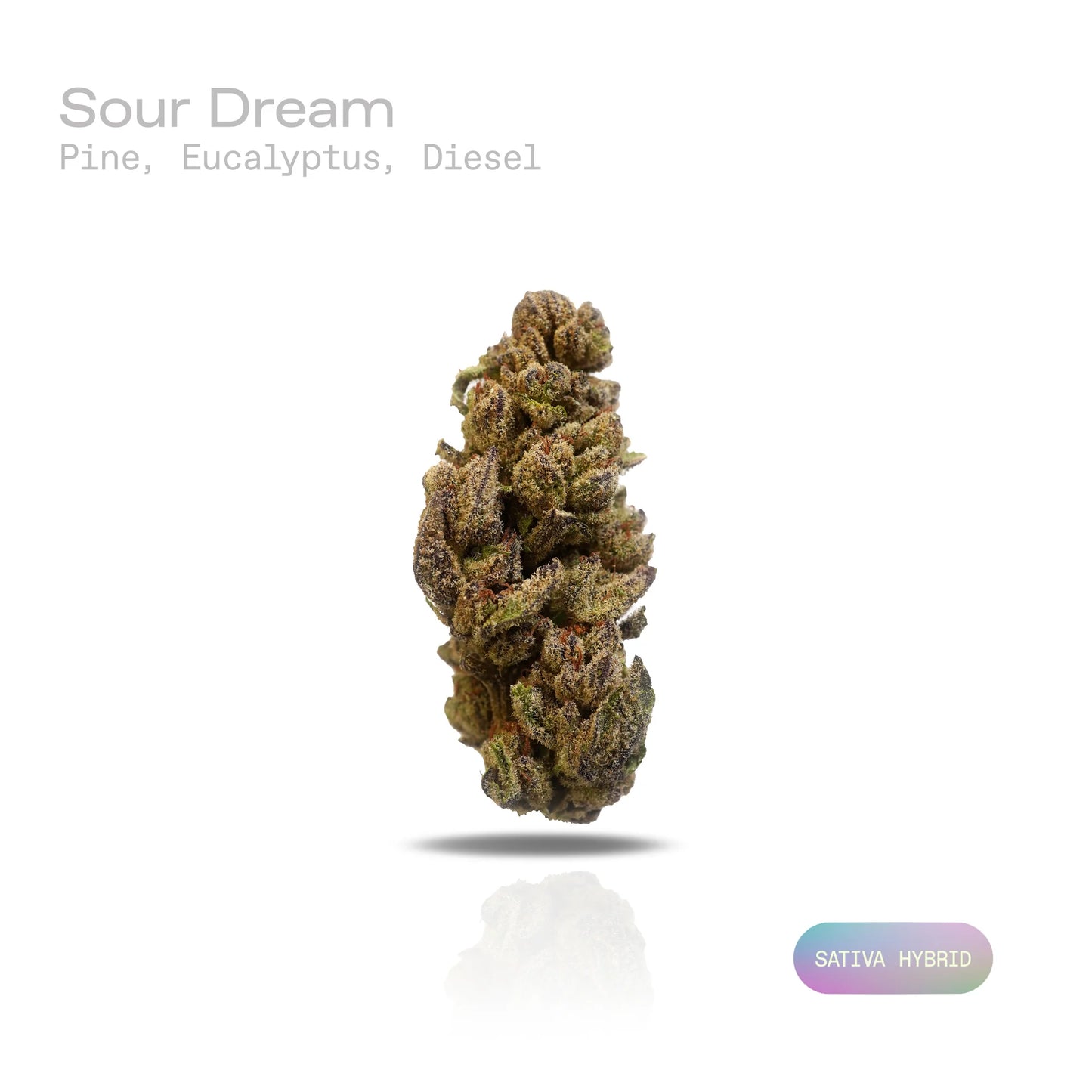 THC-A Flower - Sour Dream (Indoor) (Sativa Hybrid)