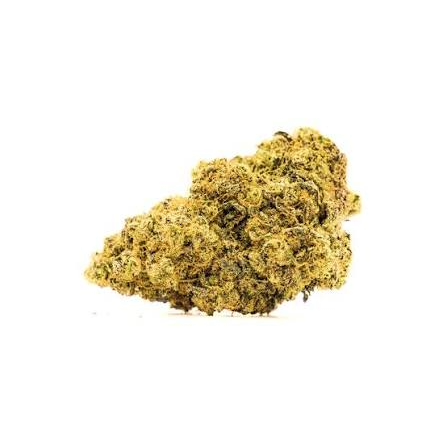 Animal Mints (INDOOR Hybrid)