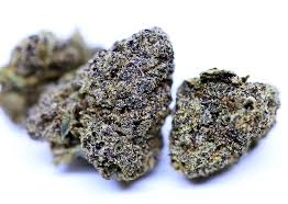 Black Runtz (PREMIER EXOTIC Indica Hybrid)