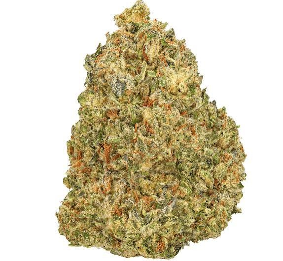 BLUE NERDZ (PREMIER SATIVA)