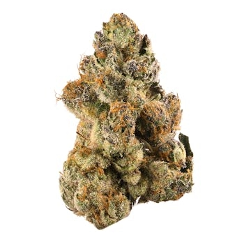 Cadillac Rainbow (Indoor Hybrid)