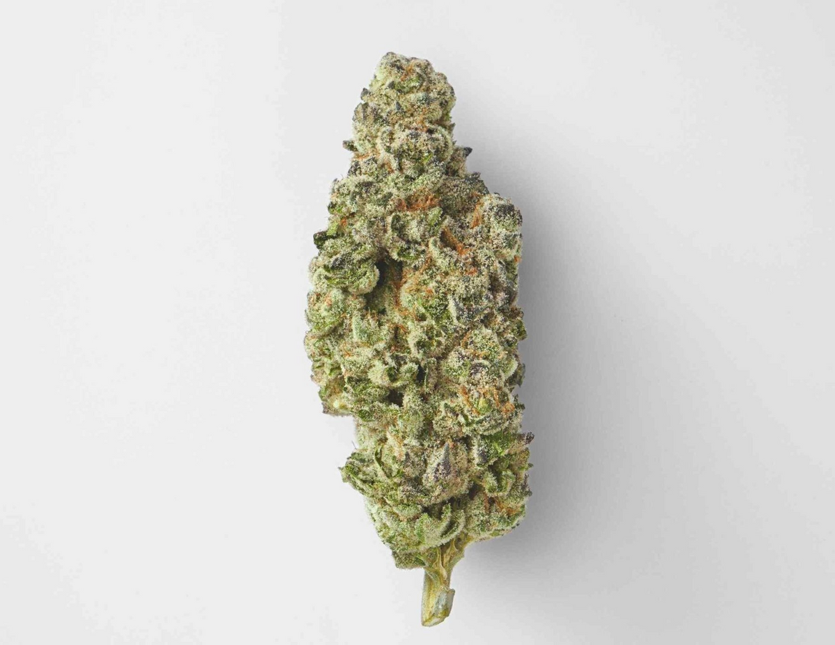 Devil's Lettuce Premier Hybrid