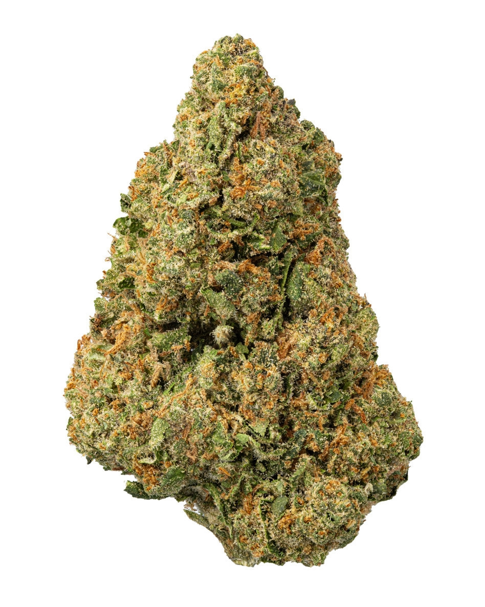 El Chivo Living Soil (Exotic Indica)