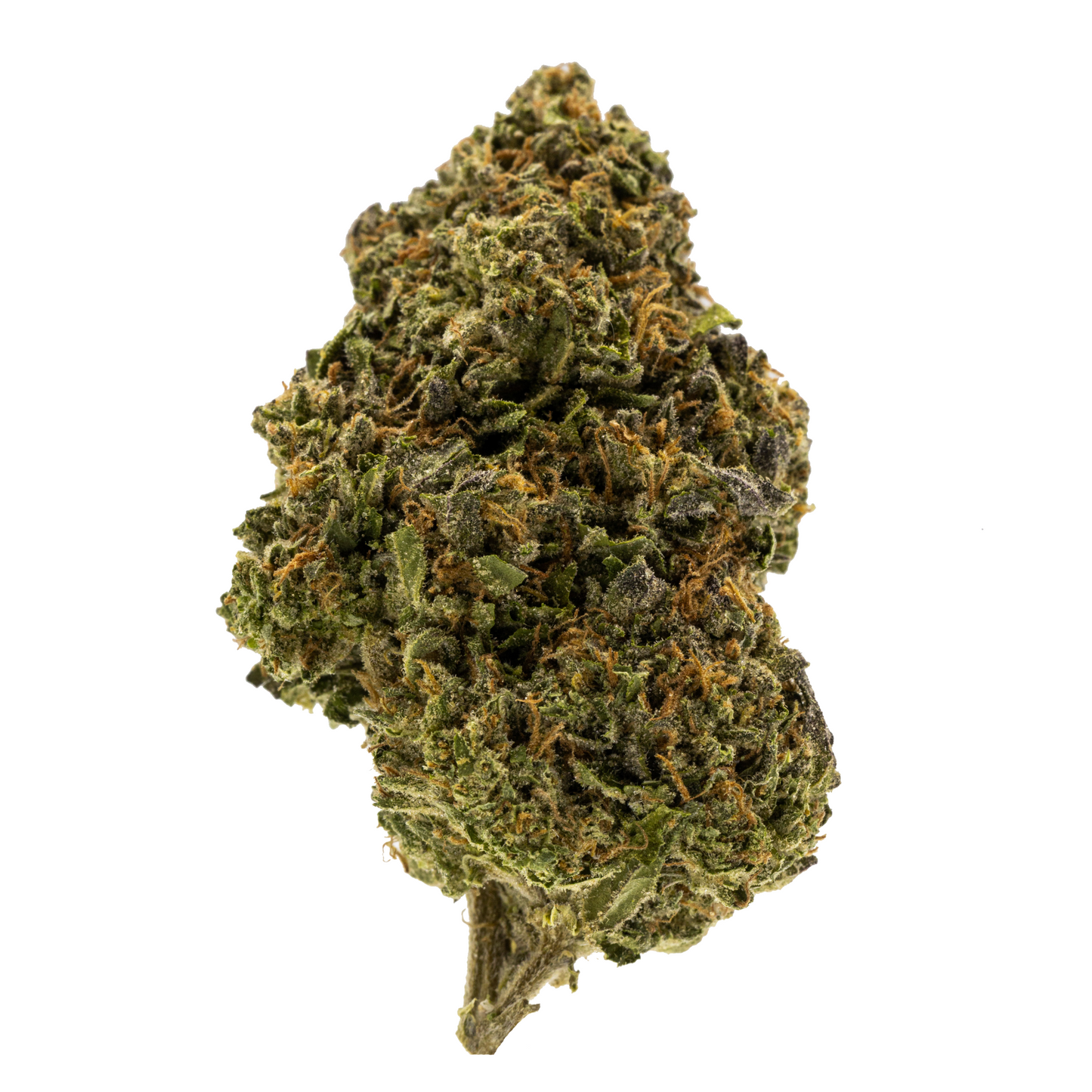 Green Crack (Indoor Hybrid)