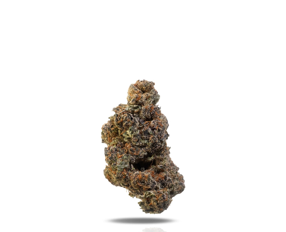 Halle Berry (Exotic Hybrid)