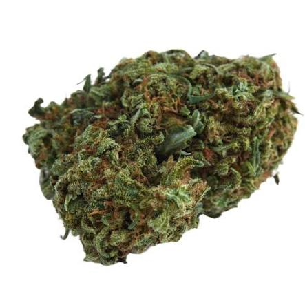 HELL FIRE (PREMIER HYBRID)