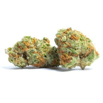 Papaya - (Indoor) (Hybrid)