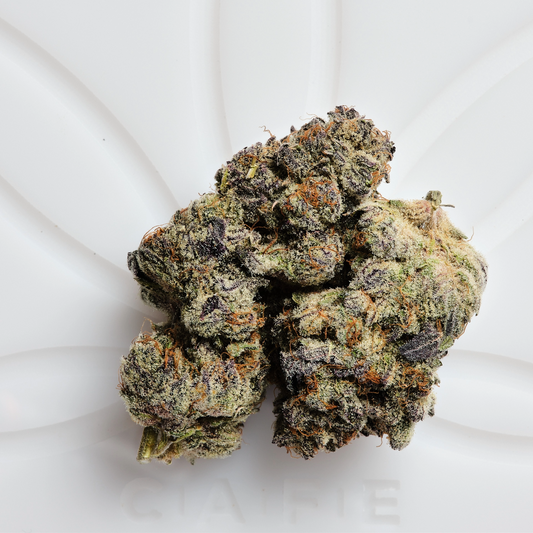 Sour Guava Exotic Hybrid