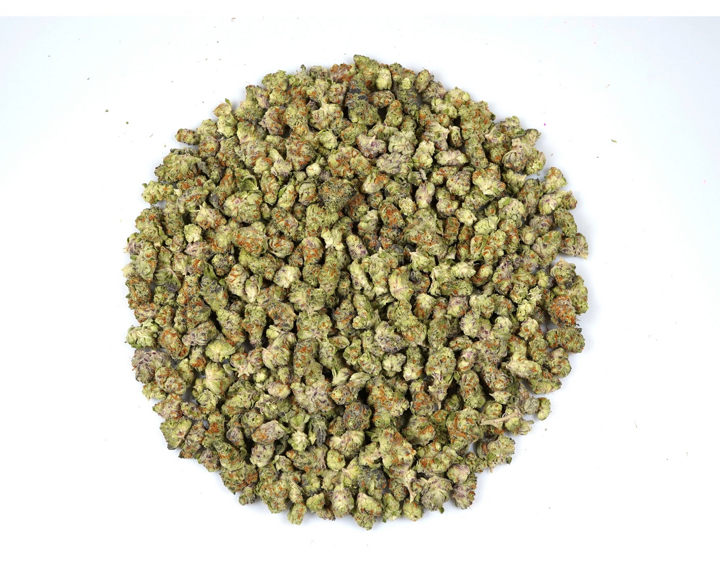 Sunset Spice (Exotic) (Hybrid)