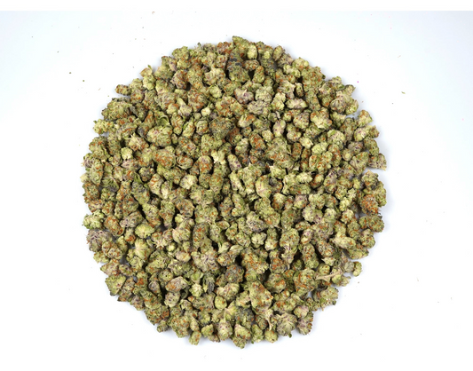Sunset Spice (Exotic) (Hybrid)