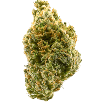 Tangie  (Indoor Sativa)